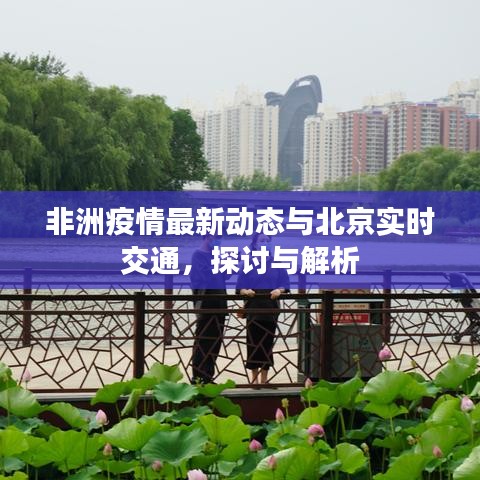 非洲疫情最新动态与北京实时交通,探讨与解析