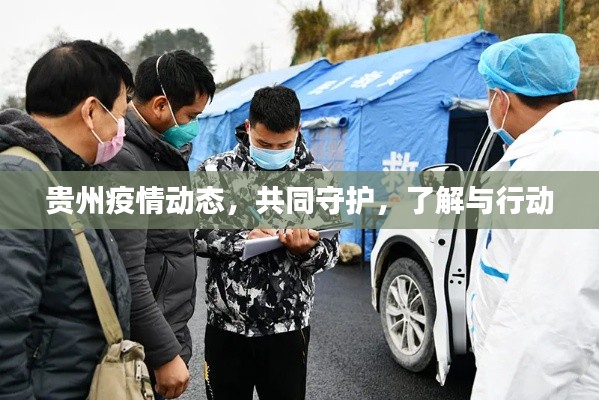 贵州疫情动态,共同守护,了解与行动