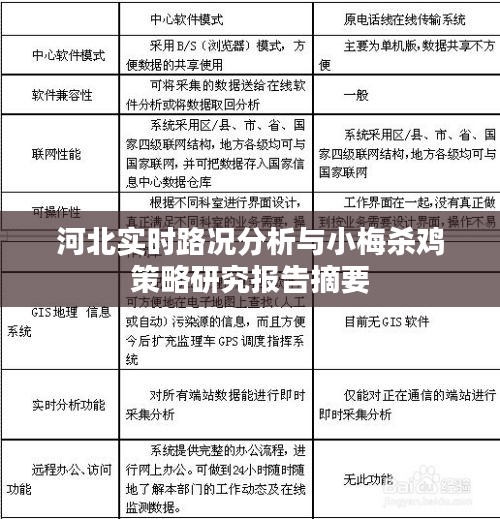 河北实时路况分析与小梅杀鸡策略研究报告摘要