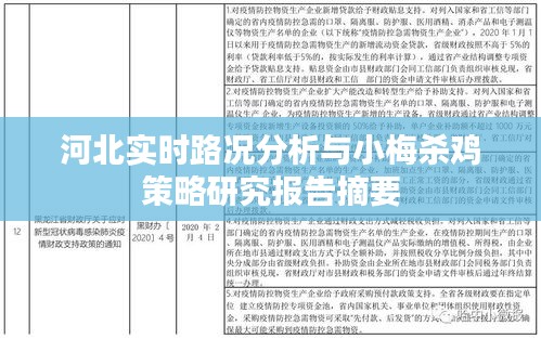 河北实时路况分析与小梅杀鸡策略研究报告摘要