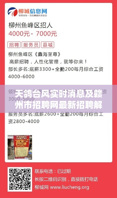 天鸽台风实时消息及赣州市招聘网最新招聘解析