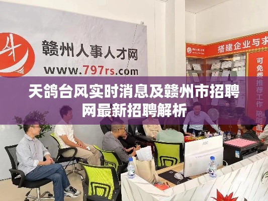 天鸽台风实时消息及赣州市招聘网最新招聘解析