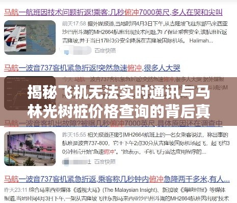 揭秘飞机无法实时通讯与马林光树桩价格查询的背后真相