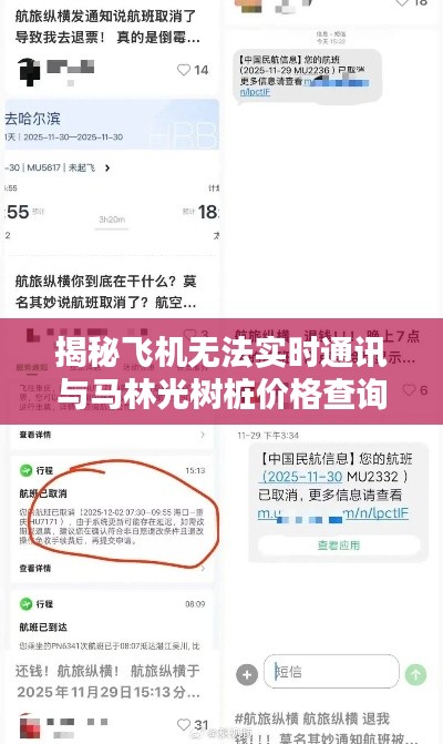 揭秘飞机无法实时通讯与马林光树桩价格查询的背后真相