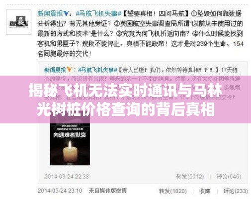揭秘飞机无法实时通讯与马林光树桩价格查询的背后真相
