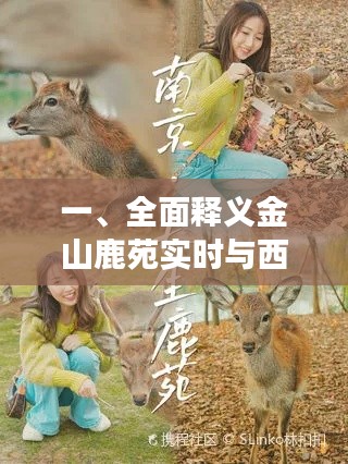 一、全面释义金山鹿苑实时与西铁城手表价格主题