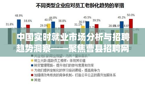 中国实时就业市场分析与招聘趋势洞察——聚焦曹县招聘网实例探讨