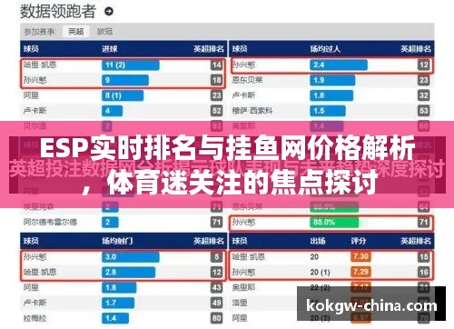 ESP实时排名与挂鱼网价格解析,体育迷关注的焦点探讨
