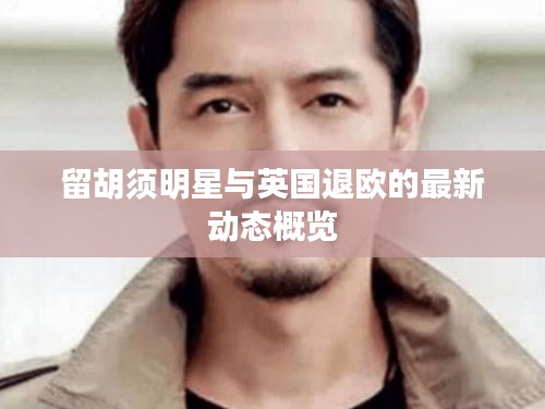 留胡须明星与英国退欧的最新动态概览