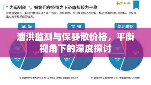 泄洪监测与保婴散价格,平衡视角下的深度探讨