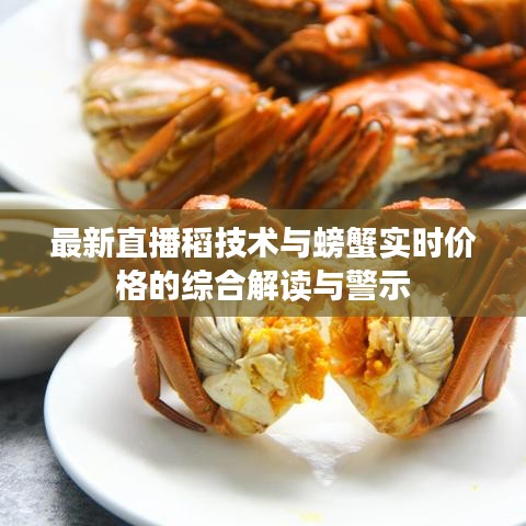 最新直播稻技术与螃蟹实时价格的综合解读与警示
