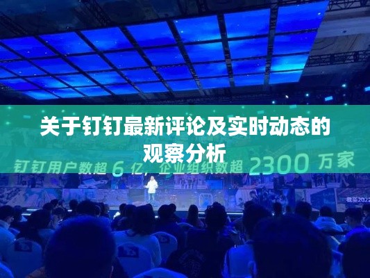 关于钉钉最新评论及实时动态的观察分析