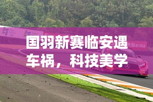 国羽新赛临安遇车祸,科技美学助力实时资讯传递
