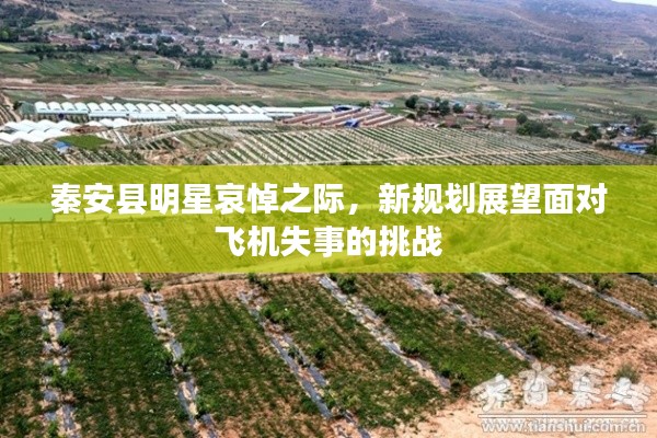 秦安县明星哀悼之际,新规划展望面对飞机失事的挑战
