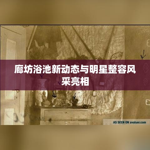 廊坊浴池新动态与明星整容风采亮相