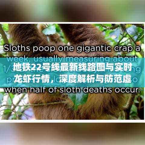 地铁22号线最新线路图与实时龙虾行情,深度解析与防范虚假宣传