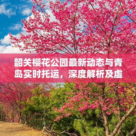 韶关樱花公园最新动态与青岛实时托运,深度解析及虚假宣传揭露