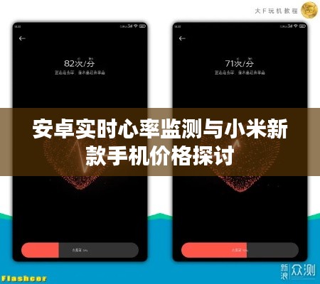 安卓实时心率监测与小米新款手机价格探讨