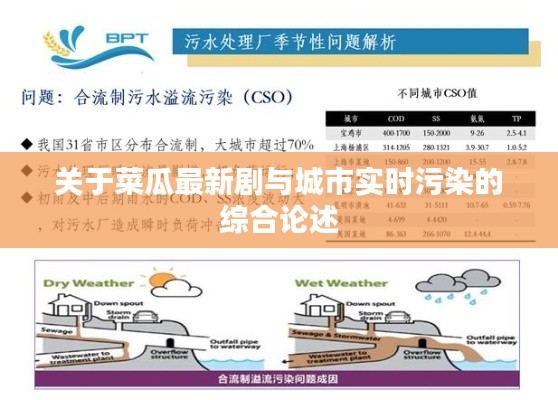 关于菜瓜最新剧与城市实时污染的综合论述