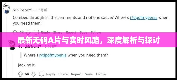 最新无码A片与实时风路,深度解析与探讨
