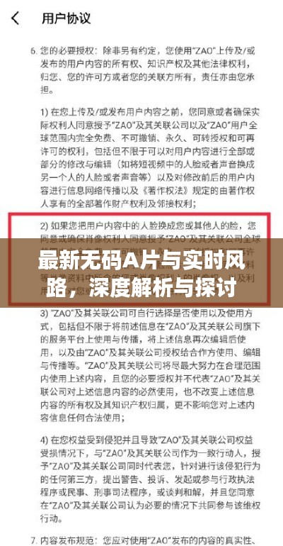最新无码A片与实时风路,深度解析与探讨