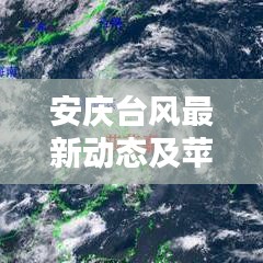 安庆台风最新动态及苹果5换屏价格探讨