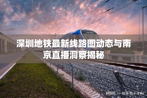 深圳地铁最新线路图动态与南京直播洞察揭秘