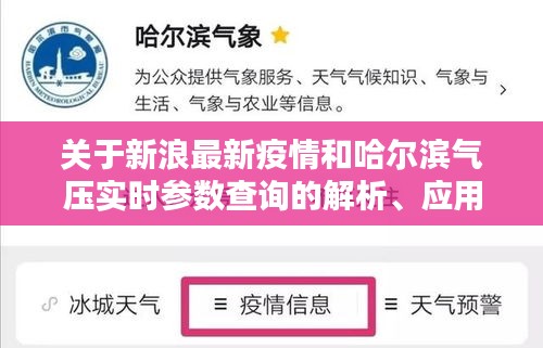 关于新浪最新疫情和哈尔滨气压实时参数查询的解析、应用与防范