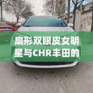 扇形双眼皮女明星与CHR丰田的最新动态报道