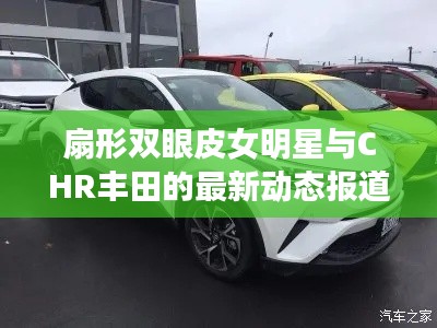 扇形双眼皮女明星与CHR丰田的最新动态报道