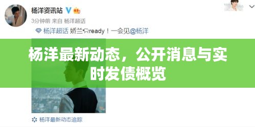 杨洋最新动态,公开消息与实时发债概览