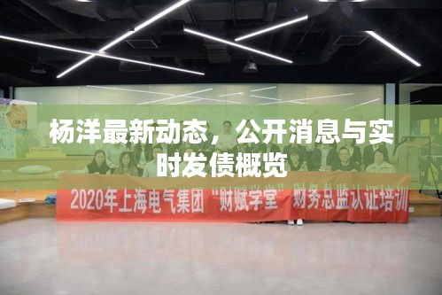 杨洋最新动态,公开消息与实时发债概览