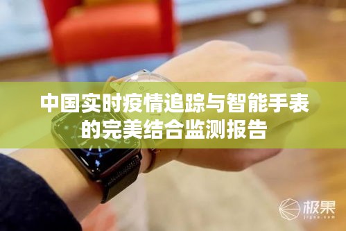 中国实时疫情追踪与智能手表的完美结合监测报告