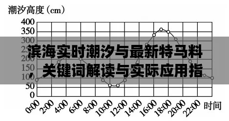 滨海实时潮汐与最新特马料,关键词解读与实际应用指南