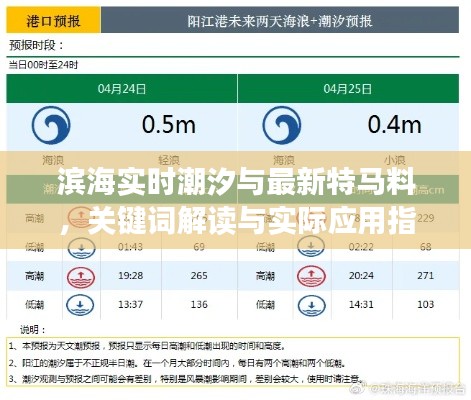 滨海实时潮汐与最新特马料,关键词解读与实际应用指南
