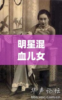 明星混血儿女与抗日谍战剧,文化交融与历史的交响乐章