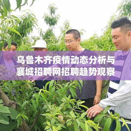 乌鲁木齐疫情动态分析与襄城招聘网招聘趋势观察报告