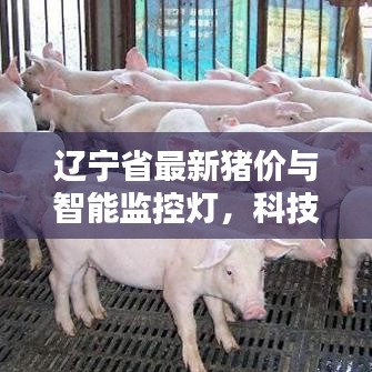 辽宁省最新猪价与智能监控灯,科技便捷生活之选