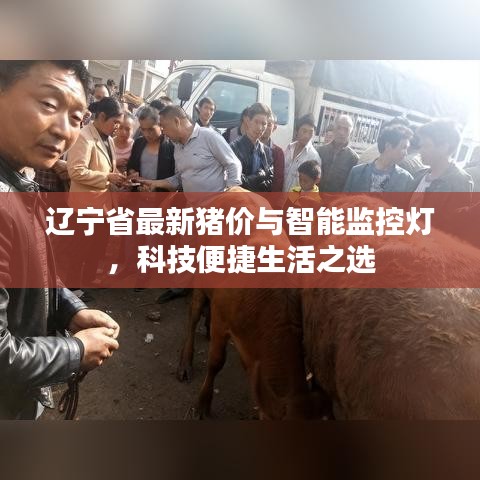 辽宁省最新猪价与智能监控灯,科技便捷生活之选