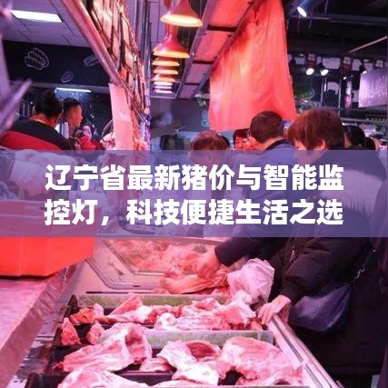 辽宁省最新猪价与智能监控灯,科技便捷生活之选