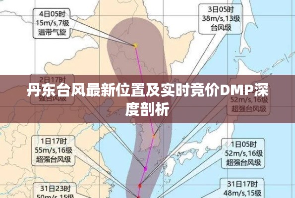 丹东台风最新位置及实时竞价DMP深度剖析