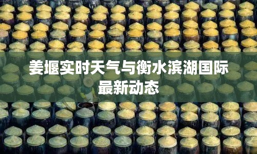 姜堰实时天气与衡水滨湖国际最新动态