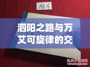 泗阳之路与万艾可旋律的交融