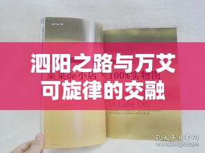 泗阳之路与万艾可旋律的交融