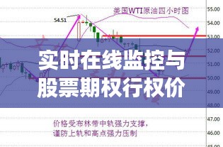 实时在线监控与股票期权行权价格,深度解读及实施策略