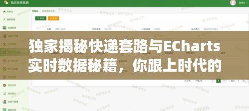 独家揭秘快递套路与ECharts实时数据秘籍,你跟上时代的步伐了吗?