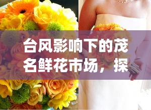 台风影响下的茂名鲜花市场,探究捧花价格波动背后的逻辑
