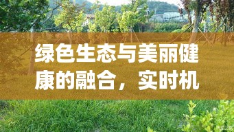 绿色生态与美丽健康的融合,实时机械铺设草皮与最新瘦腿技术的新探索