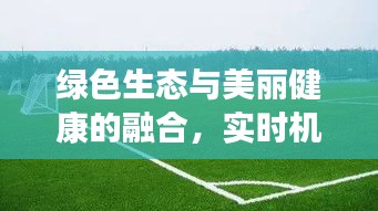 绿色生态与美丽健康的融合,实时机械铺设草皮与最新瘦腿技术的新探索