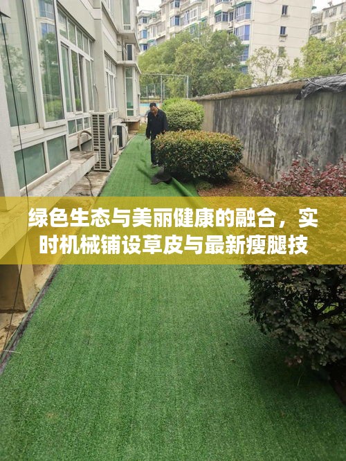 绿色生态与美丽健康的融合,实时机械铺设草皮与最新瘦腿技术的新探索